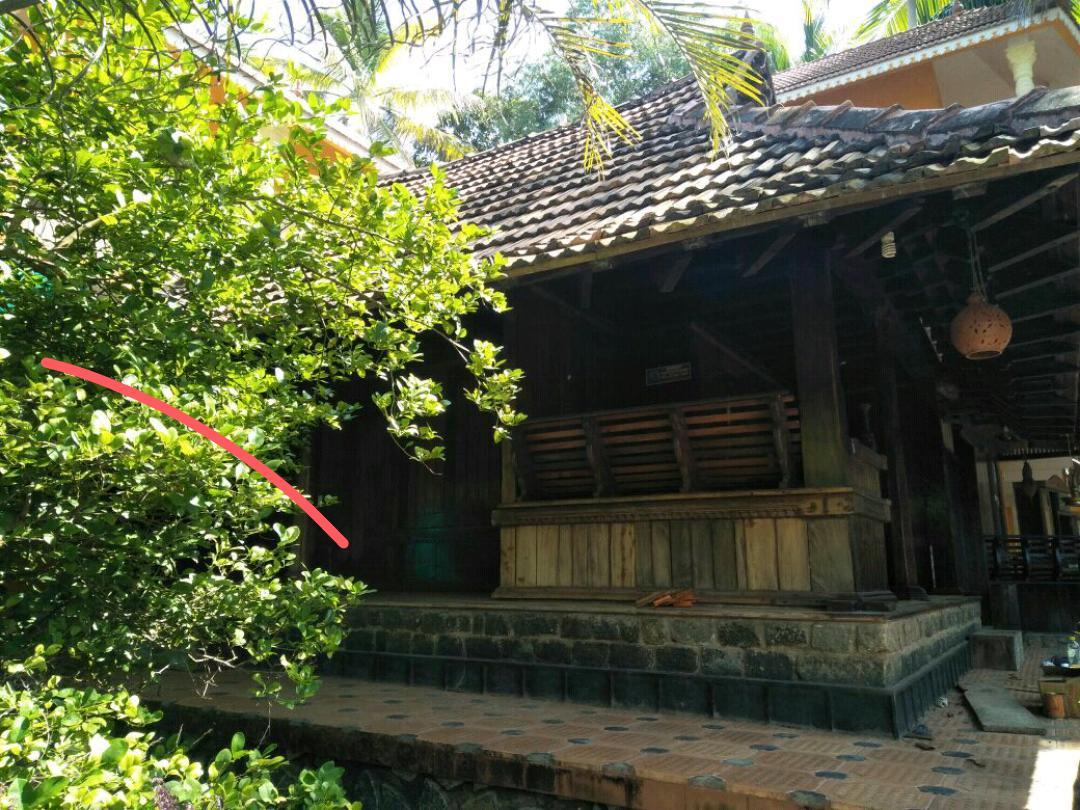 Thriphala Ayurveda Yogashram Apartment Thiruvananthapuram Luaran gambar