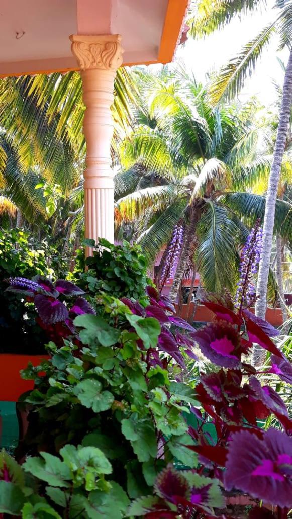 Thriphala Ayurveda Yogashram Apartment Thiruvananthapuram Luaran gambar